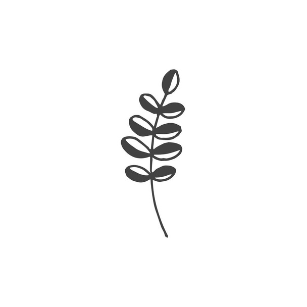 Elemento logo minimo ramoscelli, elemento botanico, elemento logo, clipart, natura, contorno, tatuaggio, disegnato a mano, disegno, elemento vettoriale - Vettoriali, immagini