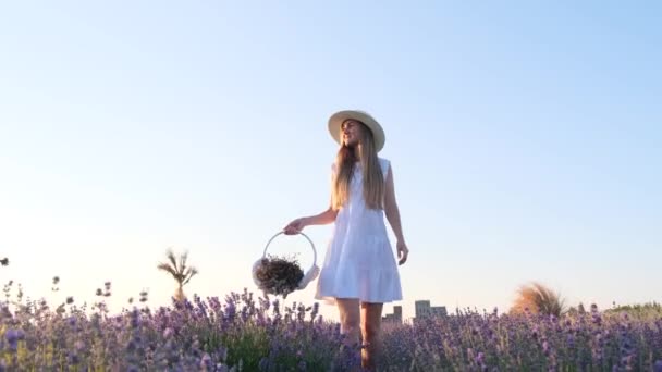 Une femme élancée dans une belle robe blanche et un chapeau marche avec un panier à travers un champ de lavande contre un ciel bleu. En harmonie avec vous-même. La Provence. Lavande plantation - Séquence, vidéo