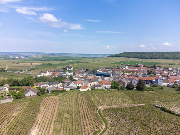 Panoramic aerial view on green grand cru champagne vineyards and houses of village Cramant, Cotes des Blancs, Champange, France - Foto, Imagem