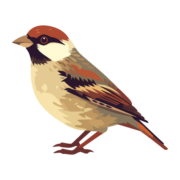 Cute sparrow perching, close up view icon isolated - Vector, Image