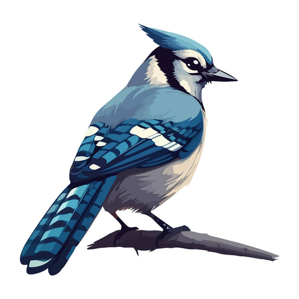 desenho animado pequeno azul jay pássaro ícone plana isolado - Vetor, Imagem