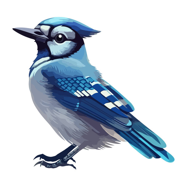 cartoon blue jay bird nature icon isolated - Διάνυσμα, εικόνα