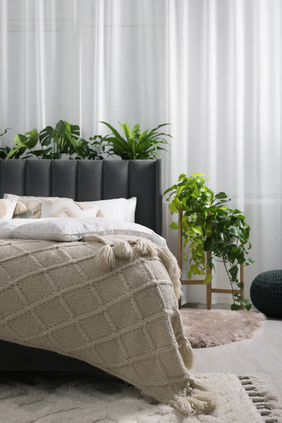 Comfortable bed with pillows, duvet and beautiful houseplants in bedroom. Interior design - Fotografie, Obrázek