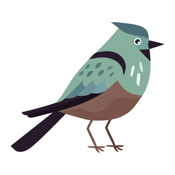 Cute bird perching over white - Vector, Image