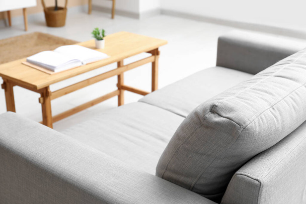 Modern living room interior with cozy grey sofa and table - Φωτογραφία, εικόνα