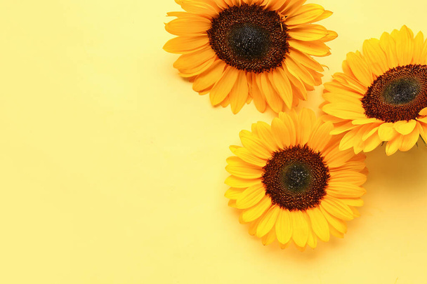 Beautiful sunflowers on yellow background - Zdjęcie, obraz