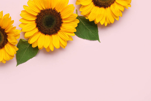 Beautiful sunflowers with leaves on lilac background - Fotó, kép