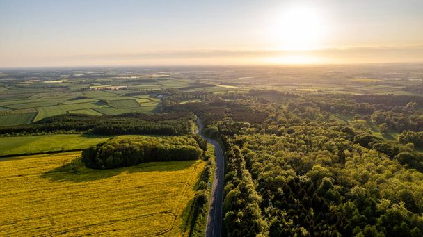 drone image of aerial view of rural area with road and forests in spring time with yellow flowers in latvia in latvia - Foto, Imagen