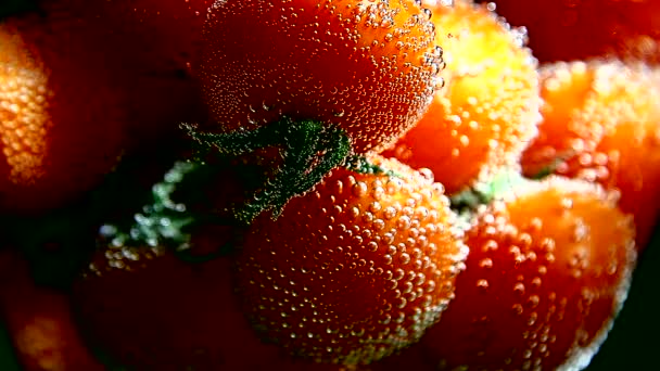 Legumes. Tomates em água com bolhas
 - Filmagem, Vídeo