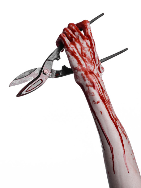 Halloween theme: bloody hand holding a big old bloody scissors on a white background - Фото, изображение