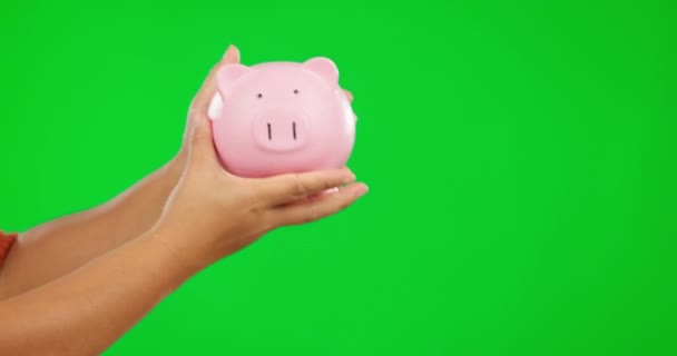 Piggy bank, offer and person hands on green screen for savings, banking security or financial management. Save money, giving container and people, finance education and investing on studio background. - Footage, Video