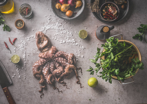 Seafood  cooking . Raw Octopus with natural ingredients: spices, fresh herbs and knife. Cooking preparation on grey concrete background. Healthy and natural lifestyle. Top view - Photo, Image