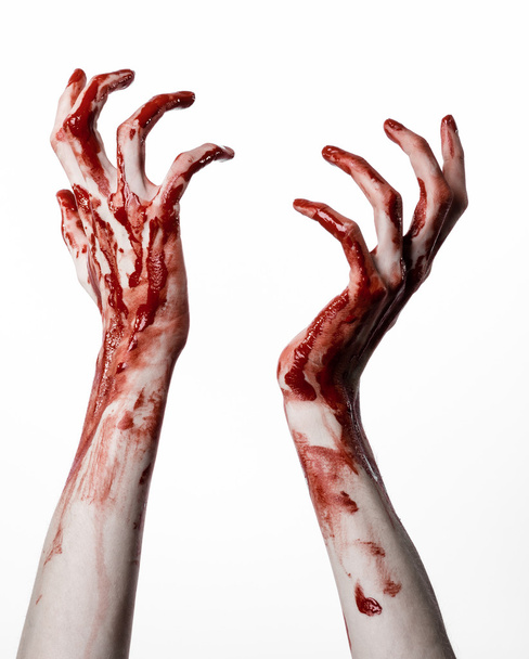 Bloody halloween theme: bloody hands killer zombie isolated on white background in studio - Фото, зображення