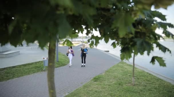 Jonge fitnessvrouwen in sportkleding gaan fitnesstraining volgen in het stadspark. - Video