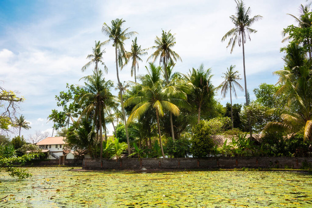 Maison au bord des palmiers et étang sur l'île de Bali, Indonésie - Photo, image