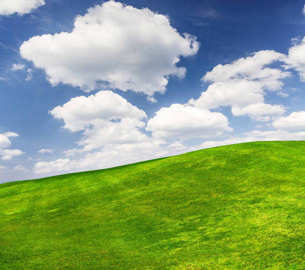 Een schilderachtig zomerlandschap met een weelderig groen grasveld dat zich uitstrekt onder een blauwe hemel met pluizige wolken - Foto, afbeelding