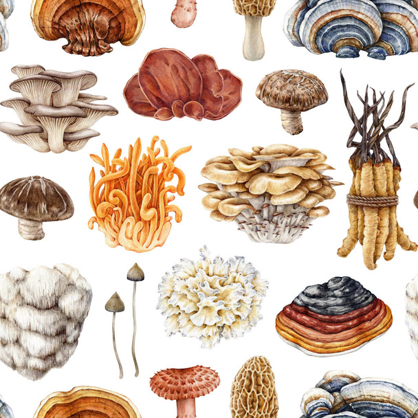 Medicinal mushrooms seamless pattern. Watercolor illustration. Hand painted vintage style fungi elements. Reishi, lions mane, cordyceps, shiitake, maitake medicinal mushrooms on white background. - Photo, Image