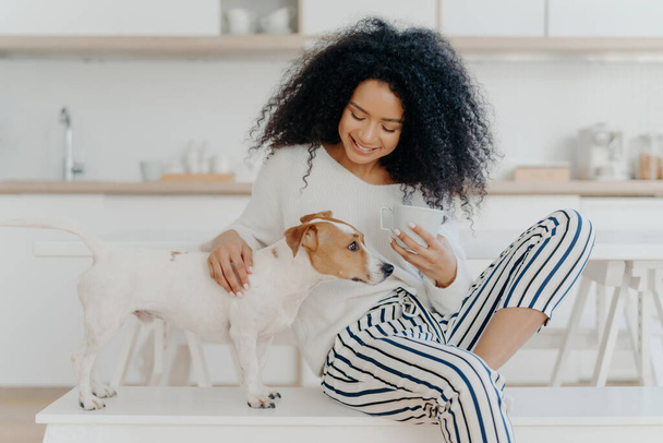 Mulher afro-americana adorável em coffee break, acariciando cachorro pedigree, sorri alegremente no aconchegante banco de cozinha branca. Pessoas, cuidados, amor e animais. - Foto, Imagem