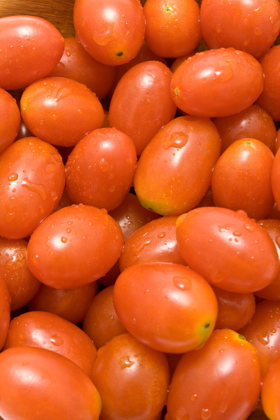 tomates ciruela
 - Foto, Imagen