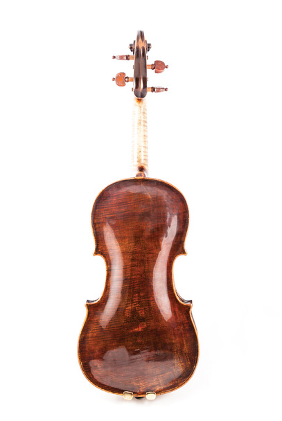 Скрипка або скрипка з тильної сторони
 - Фото, зображення
