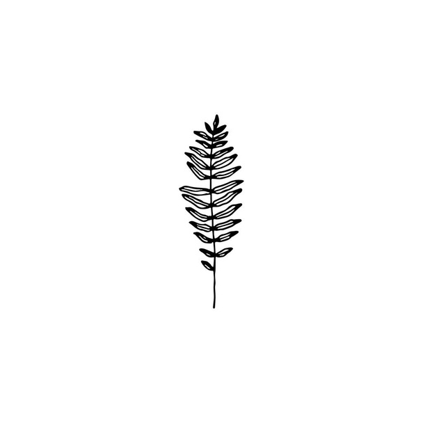 Brindilles élément de logo minimal, élément botanique, élément de logo, clipart, nature, contour, tatouage, dessin à la main, dessin, élément vectoriel - Vecteur, image