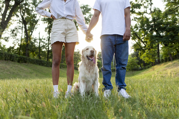 young african american couple stands together with dog and hold hands in the park at sunset, golden retriever sits near people in love on the grass, man and woman walk with pet - Valokuva, kuva