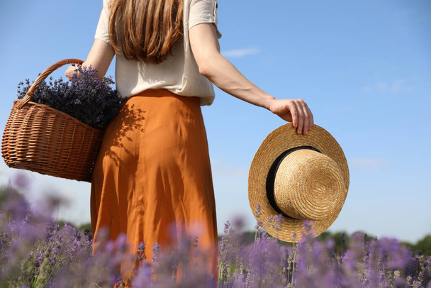 Young woman with straw hat and wicker basket full of lavender flowers in field, closeup - Foto, imagen