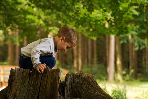 The boy has fun sitting on a large stump. Have a fun vacation - Fotografie, Obrázek