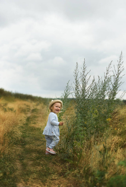 Little beautiful girl is walking in the field. Summer walks in the fields with flowers - Фото, зображення