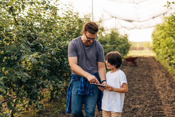 Father and son are working together in the orchard with tablet device. - Foto, Imagen