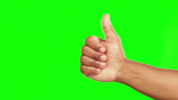 Руки, великі пальці вгору і перемога в успіху на зеленому екрані для хорошої роботи на фоні студії. Рука людини в емодзі великого пальця, так знак або як для перемоги, досягнення або схвалення на макет простору
. - Кадри, відео