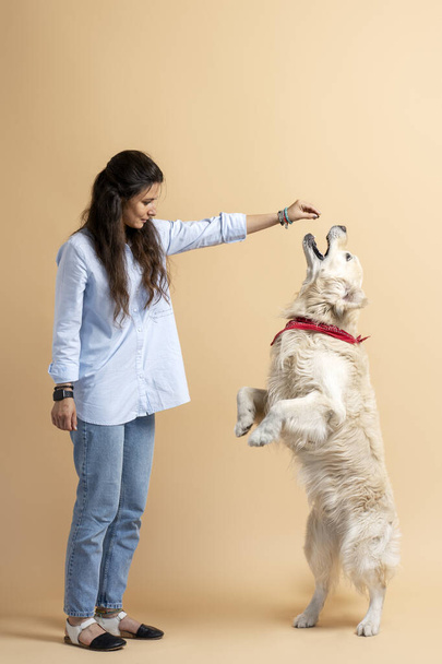 Portrait der schönen lächelnden hispanischen Frau gibt Futter für Hund, Haustier auf Hinterbeinen stehend. Liebling Golden Retriever spielt mit attraktiven Weibchen - Foto, Bild