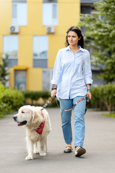 Attractive, smiling hispanic woman wearing casual clothes leading well groomed dog, golden retriever, outdoors on street. Cute female walking with pet, animal care concept - 写真・画像