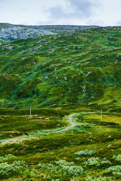 Summer mountains landscape in Norway. National tourist scenic route 55 Sognefjellet. - Photo, image