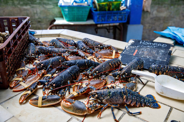 Свіжі омари та морепродукти на французькому фермерському ринку в Нормандії, Франція - Фото, зображення