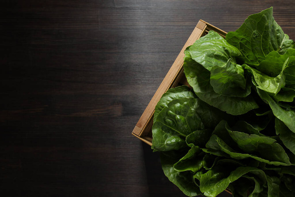 Konzept von frischem und grünem Essen - Salat - Foto, Bild