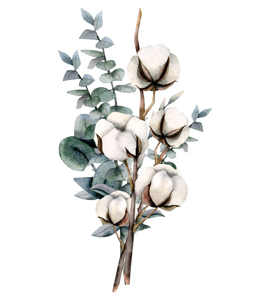 Watercolor eucalyptus and cotton flowers bouquet illustration isolated on white background. Hand drawn rustic card for floral wedding designs. - Foto, imagen
