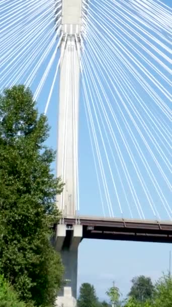 Port Mann bridge. Canada over Fraser River in BC interesting unusual footage of bridge from bottom up beautiful white cables stretched support mighty strong bridge green trees railroad Earth on siphon - Footage, Video