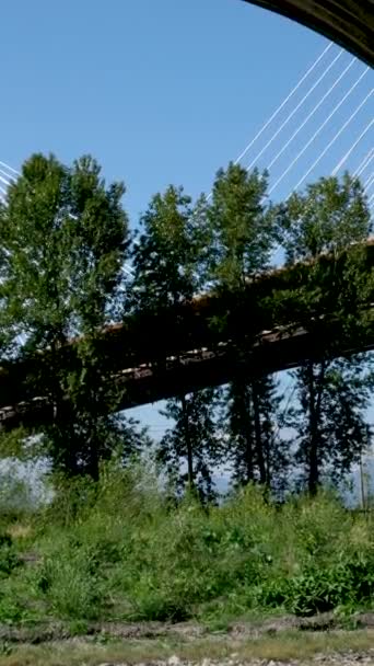 Port Mann Bridge over the Fraser River. Sunny Summer Surrey, Vancouver, British Columbia, Canada 2023 - Footage, Video
