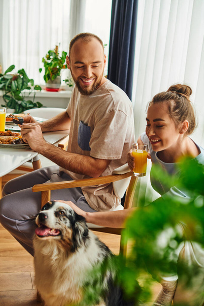 Pareja sonriente con jugo de naranja desayunando cerca de border collie dog en casa por la mañana - Foto, Imagen
