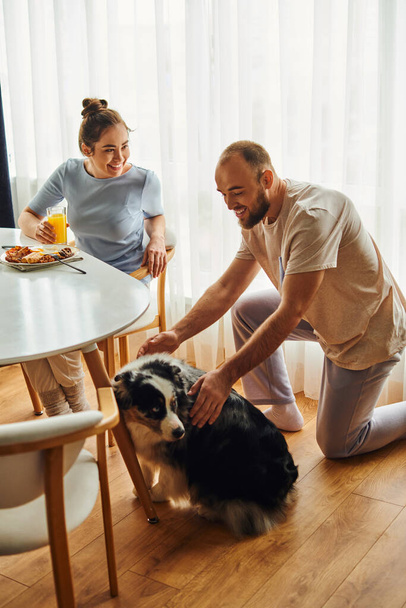 Usmívající se pár v domácím oblečení mazlení hranice kolie pes při snídani s pomerančovým džusem doma - Fotografie, Obrázek