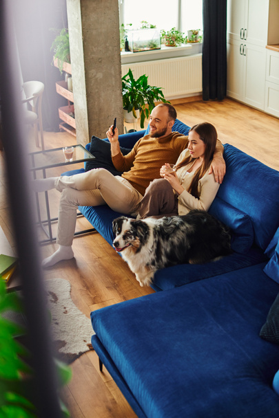 Mosolygós férfi kezében távirányító közelében barátnője kávé és a határ collie kanapén otthon - Fotó, kép