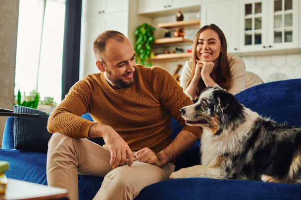 Smiling man in casual clothes sitting near border collie and blurred girlfriend on couch at home - Foto, imagen