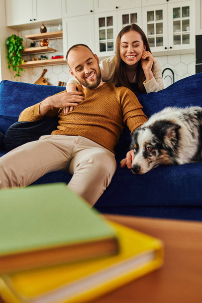 Sorrindo abraço casal e passar tempo com fronteira collie cão no sofá perto de livros na sala de estar - Foto, Imagem