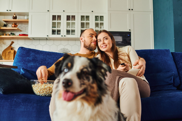 Smiling couple watching movie with popcorn while sitting on couch near blurred border collie at home - Photo, Image