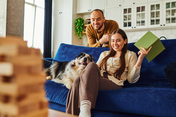 alegre pareja con libro mirando frontera collie en sofá cerca borrosa madera bloques juego en casa - Foto, imagen