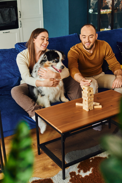 Hombre positivo jugando bloques de madera juego mientras novia abrazando frontera collie perro en sofá en casa - Foto, Imagen