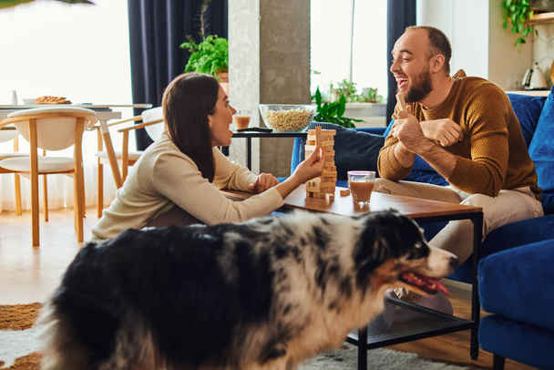 Excited couple playing wood blocks game together near border collie dog in living room at home - 写真・画像
