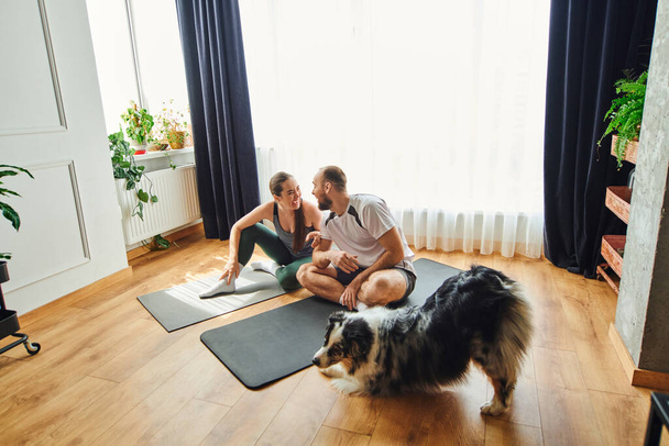 Cheerful couple in sportswear laughing while sitting on fitness mats near border collie at home - Valokuva, kuva