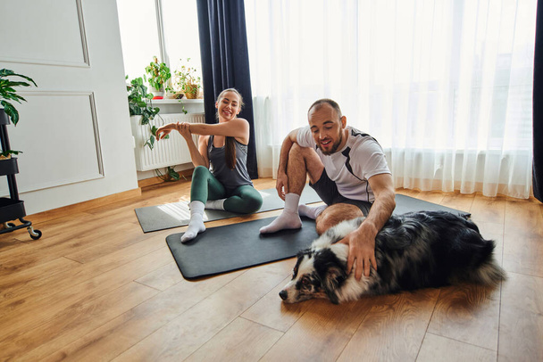 Smiling man in sportswear petting border collie while girlfriend warming up on fitness mat at home - Photo, Image